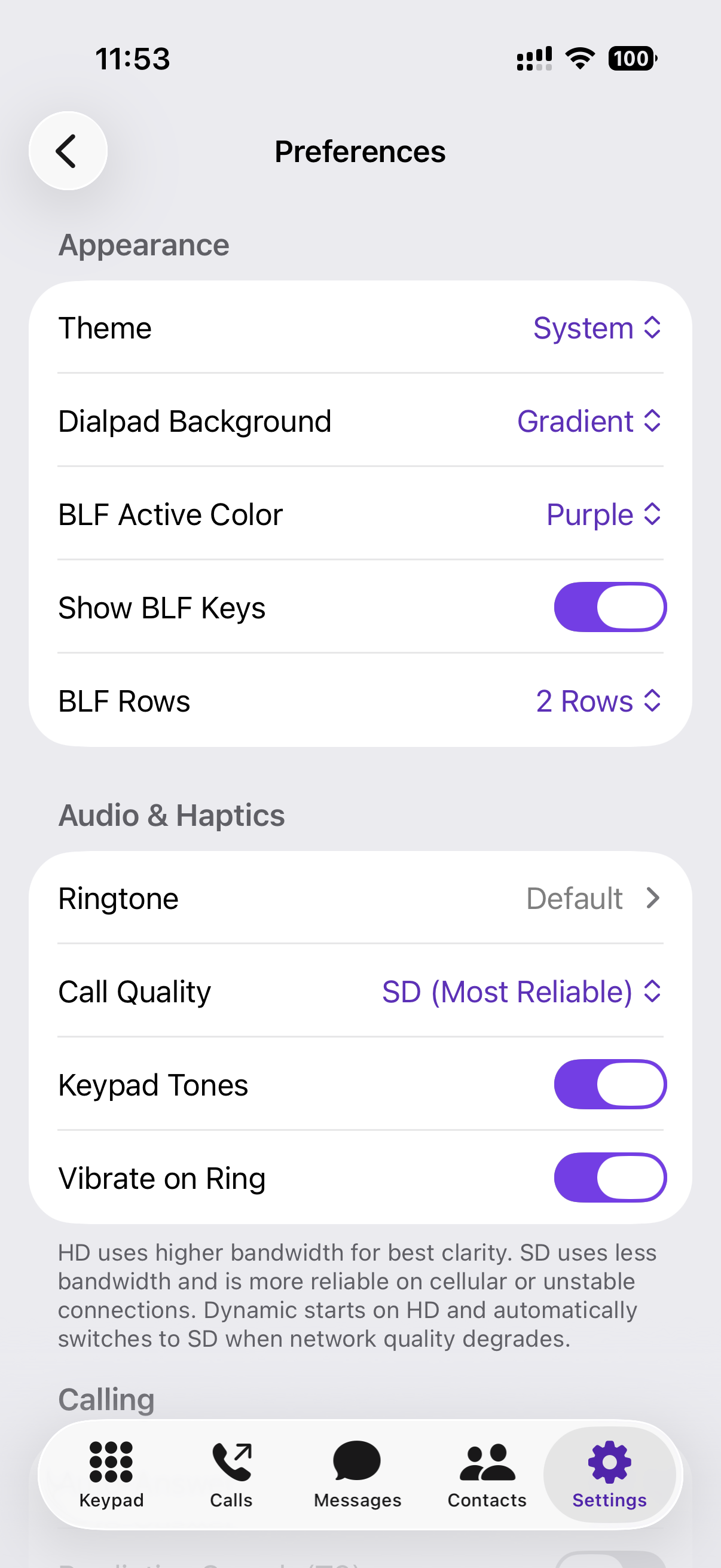 Preferences screen top half — Appearance, Audio & Haptics, and Call Quality