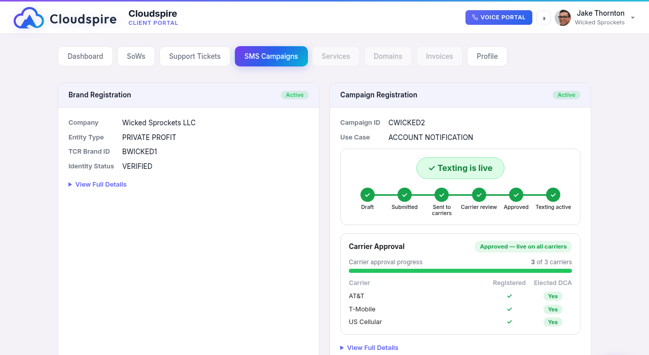 Campaign status progress bar and carrier-by-carrier approval breakdown in the customer portal